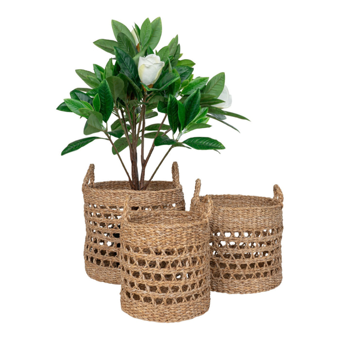 Set 3 Cesti Balok in Erba Marina — Natural e Nero