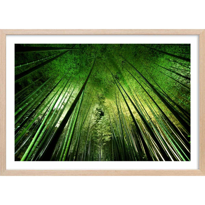 Affiche nature forêt de bambous à kyoto Affiche + cadre en bois - Chêne