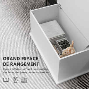 Coffre malle de rangement coffre à jouets dim. 80L x 40l x 40H cm panneaux particules blanc