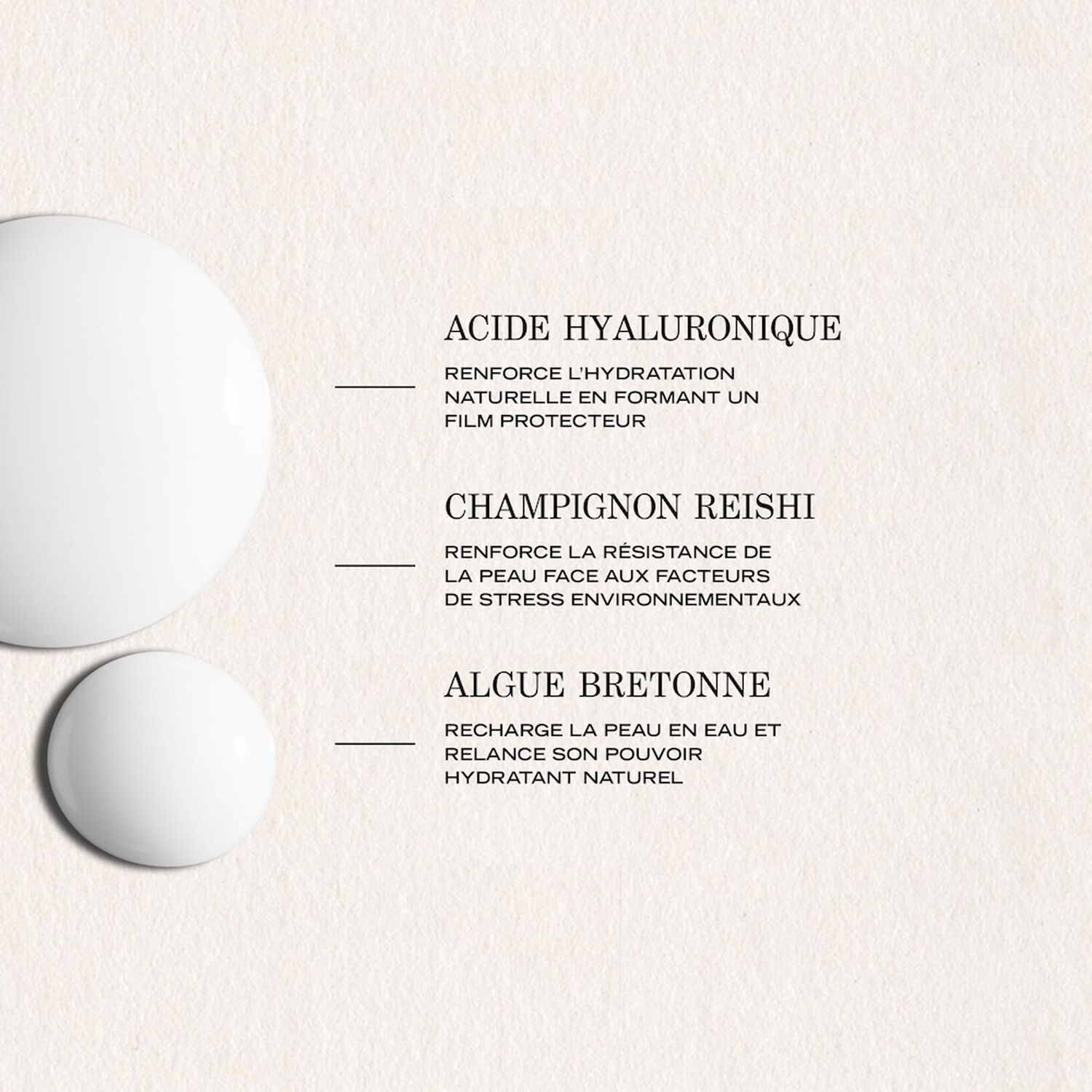 Source - Sérum Réhydratant Adaptogène 30 ml