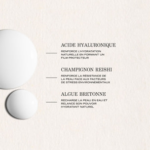 Source - Sérum Réhydratant Adaptogène 30 ml