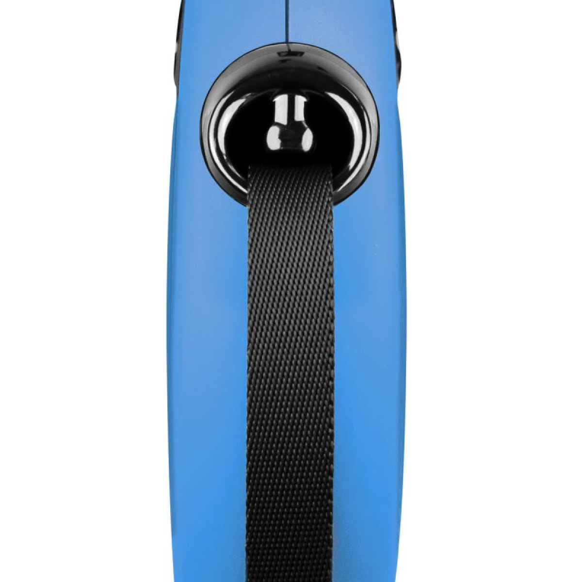Laisse New Classic L Tape 8 m blue Flexi CL30T8-251-BL-20