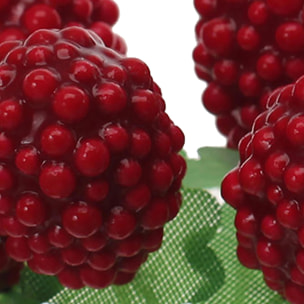 More - Pezzi 24 - 6xH12x4cm - Bianchi Dino SpA