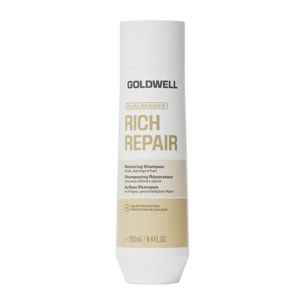 GOLDWELL DS Rich Repair Restoring Shampoo 250ml