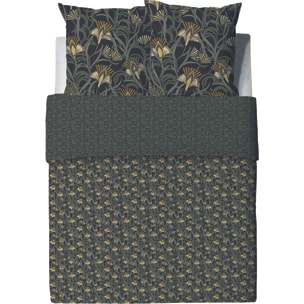 Parure De Couette + 2 taies 100% Coton 57fils - Liana