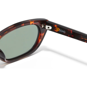 Gafas De Sol D. Franklin Soho Tort