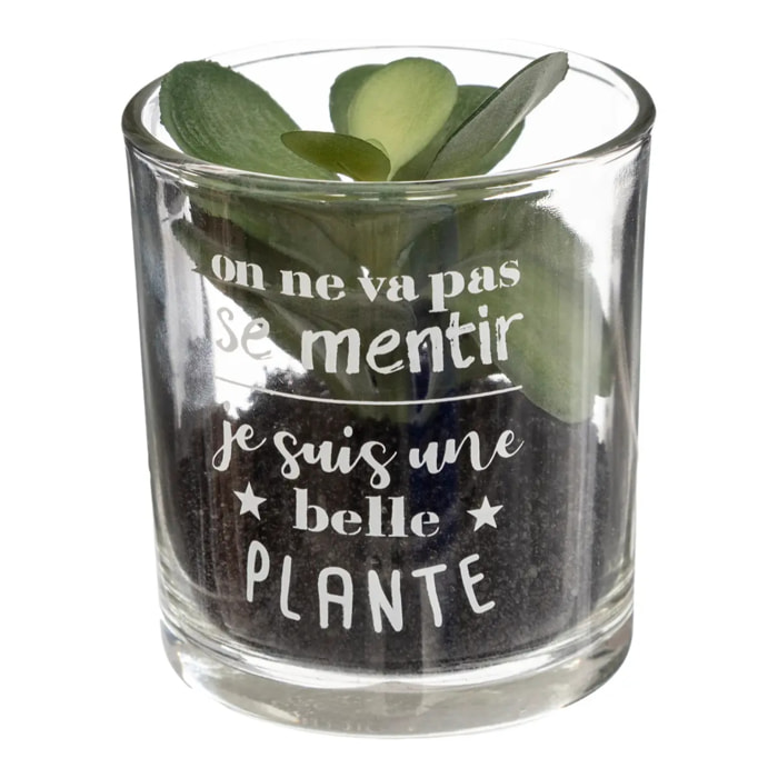 Plante artificielle "Message" - pot en verre - H8 cm