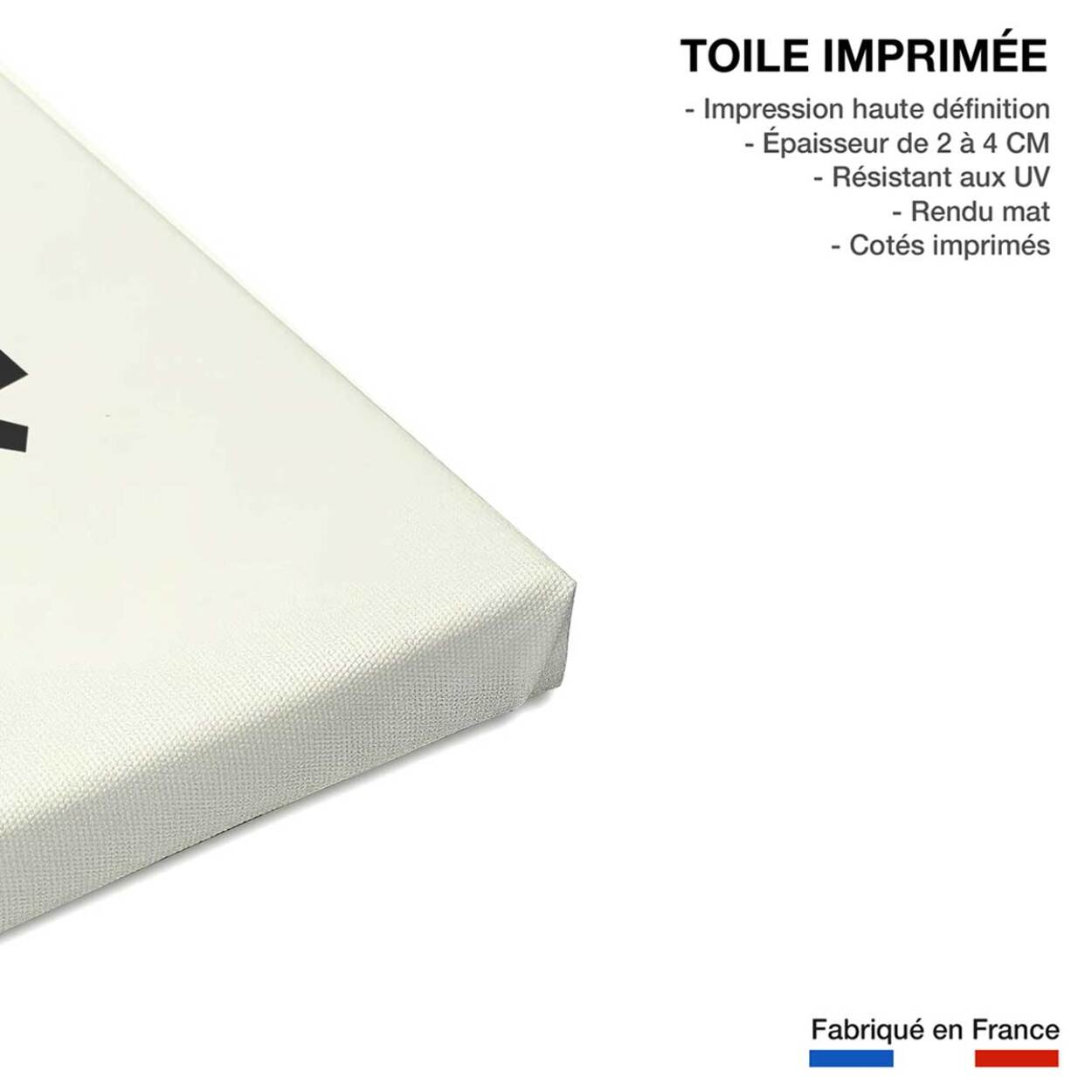 Tableau hibou music Toile imprimée