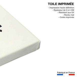 Tableau hibou music Toile imprimée