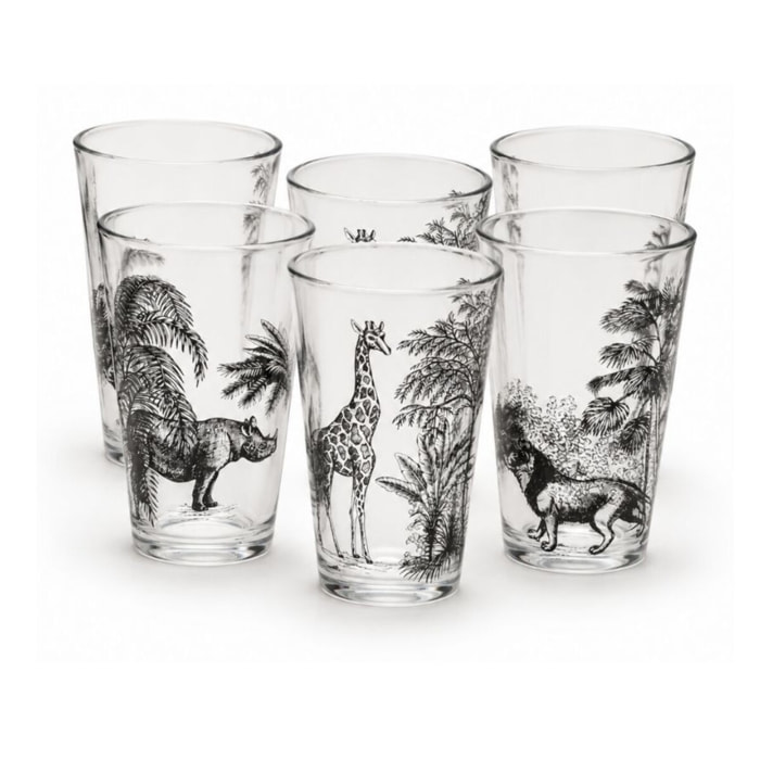 Lot de 6 verres, SAVANA