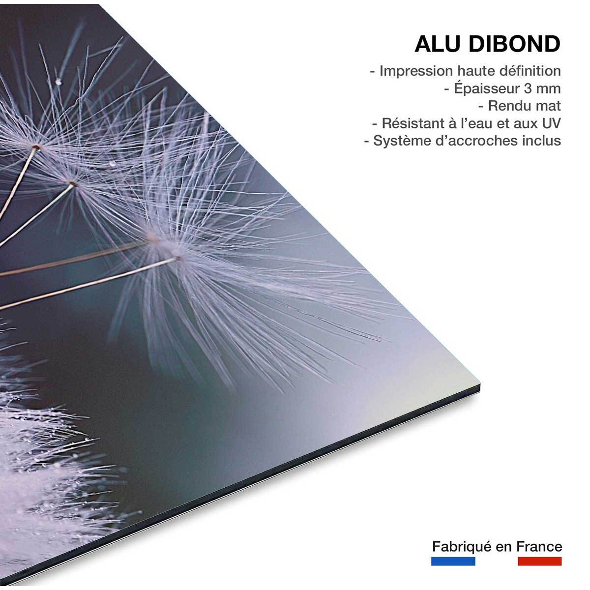Tableau fleurs dandelion seeds Tableau alu Dibond