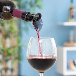 Bouchon Verseur Aérateur de Vin 2 en 1 Wintopp InnovaGoods