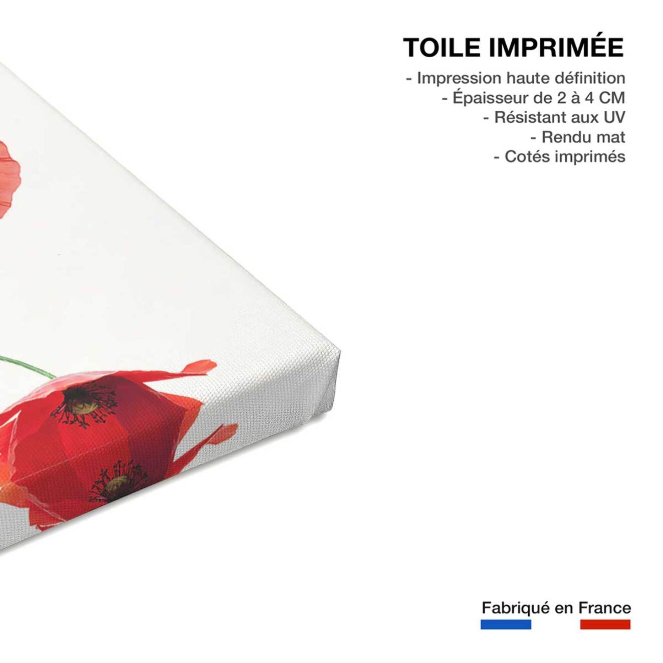 Tableau coquelicots Toile imprimée