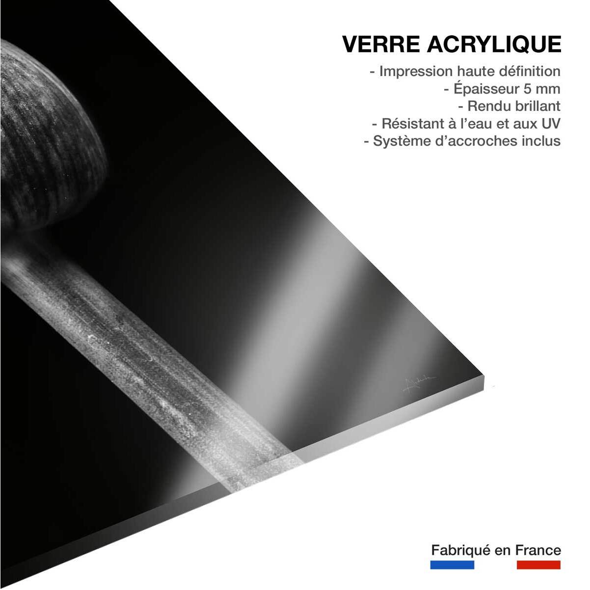 Cadre deco fleurs Spring Palm Tableau plexiglas