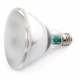 Lampadina E27 PAR38 LED 10W 4000K 850LM