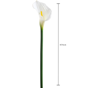 Fiore Di Calla Singola. Altezza 74 Cm - Pezzi 6 - 12X74X12cm - Colore: Bianco - Bianchi Dino - Fiori Artificiali