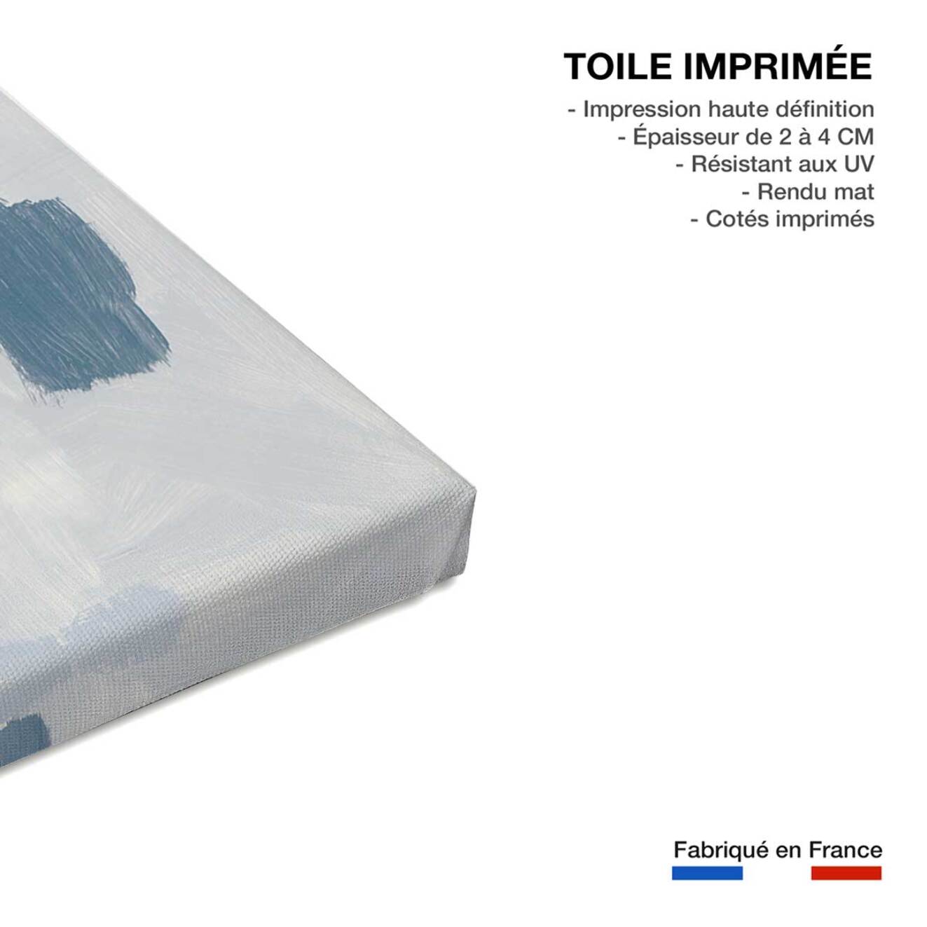 Tableau abstrait gismo  Toile imprimée