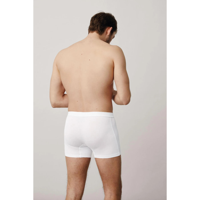 Boxer Con Apertura