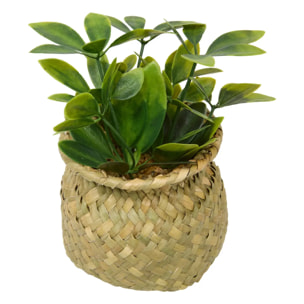 Plante artificielle en pot Jil 10x10cm