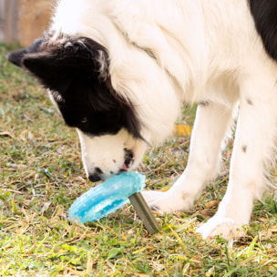 Giocattolo da Mordere Congelabile per Animali Domestici 2 in 1 Glubiz InnovaGoods