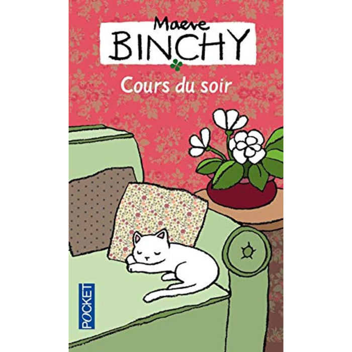 Binchy, Maeve | Cours du soir | Livre d'occasion