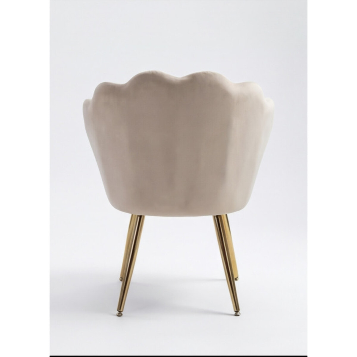 Poltrona in velluto design a conchiglia elegante e moderna, seduta imbottita confortevole con base in legno e gambe in metallo dorato, poltroncina versatile per soggiorno, camera o ufficio, stabile e resistente fino a 100 kg, stile raffinato e decorativo