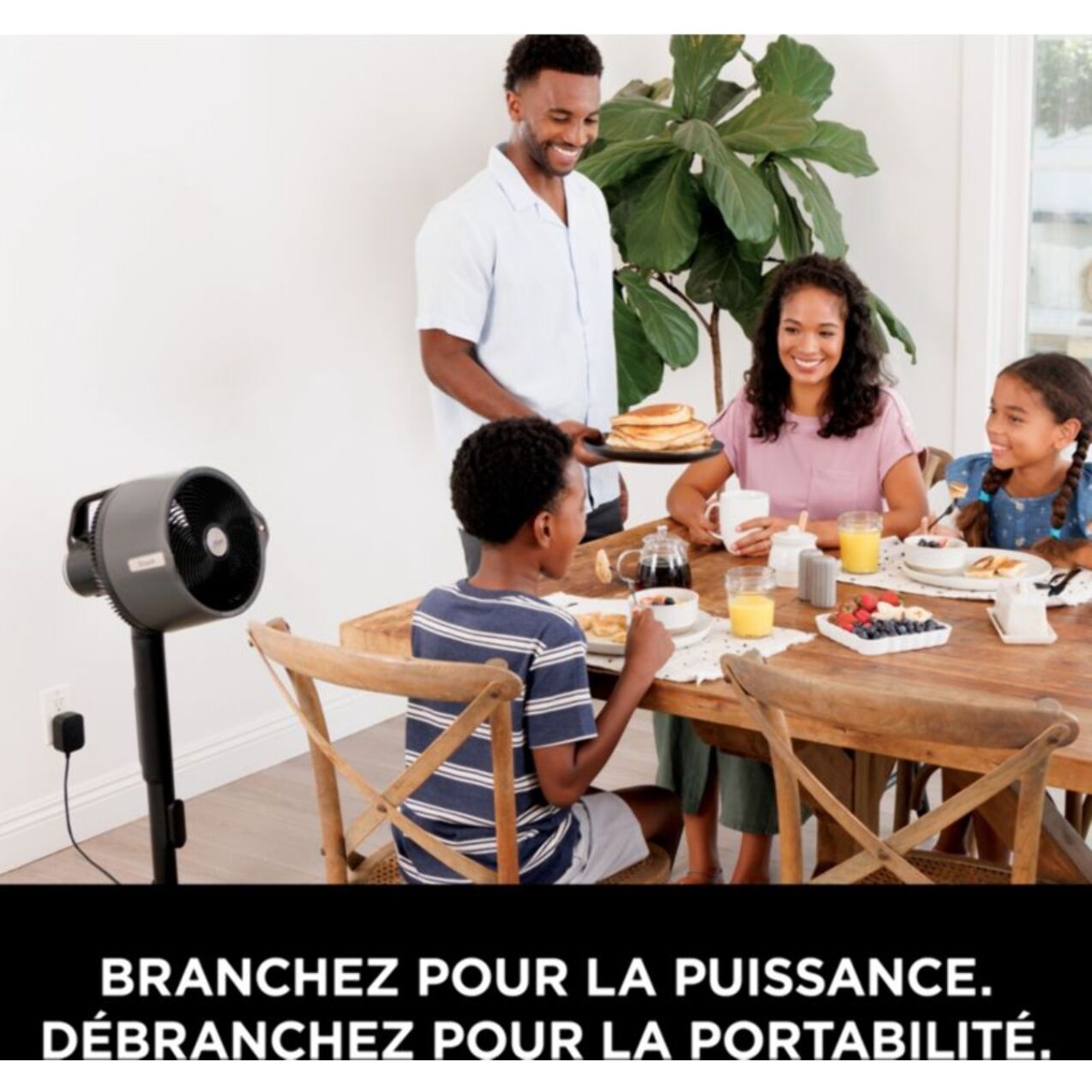 Ventilateur brumisateur SHARK FlexBreeze ProMist FA300EU
