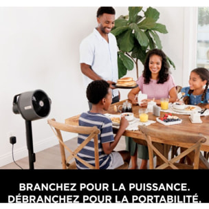 Ventilateur brumisateur SHARK FlexBreeze ProMist FA300EU