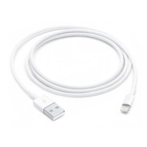 Câble Lightning APPLE Lightning vers USB 1m