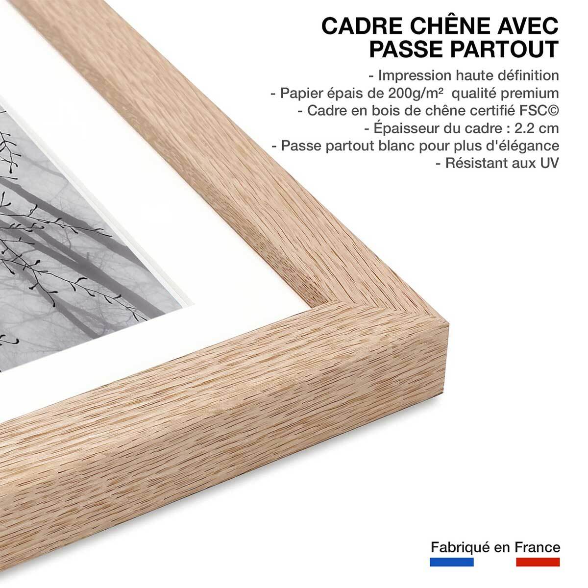 Affiche nature canopée en noir et blanc Affiche + cadre en bois - Chêne
