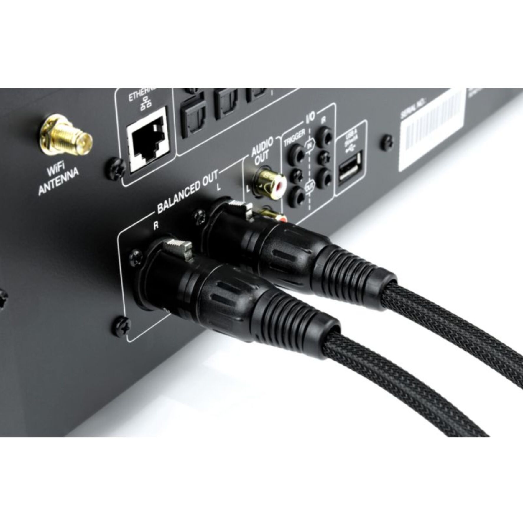 Câble XLR NORSTONE ARRAN XLR 2X1M
