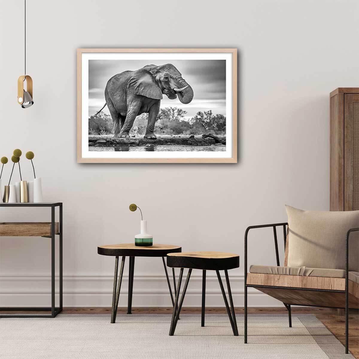 Affiche animaux standing proud Affiche + cadre en bois - Chêne