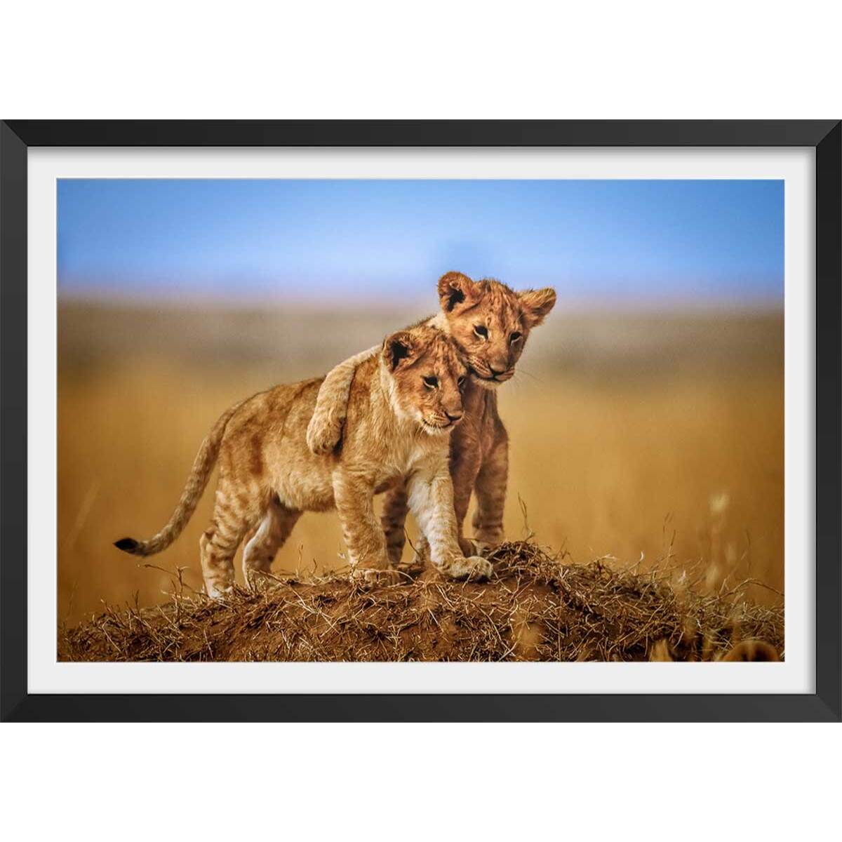 Affiche animaux brothers for the life Affiche + cadre en bois - Noir
