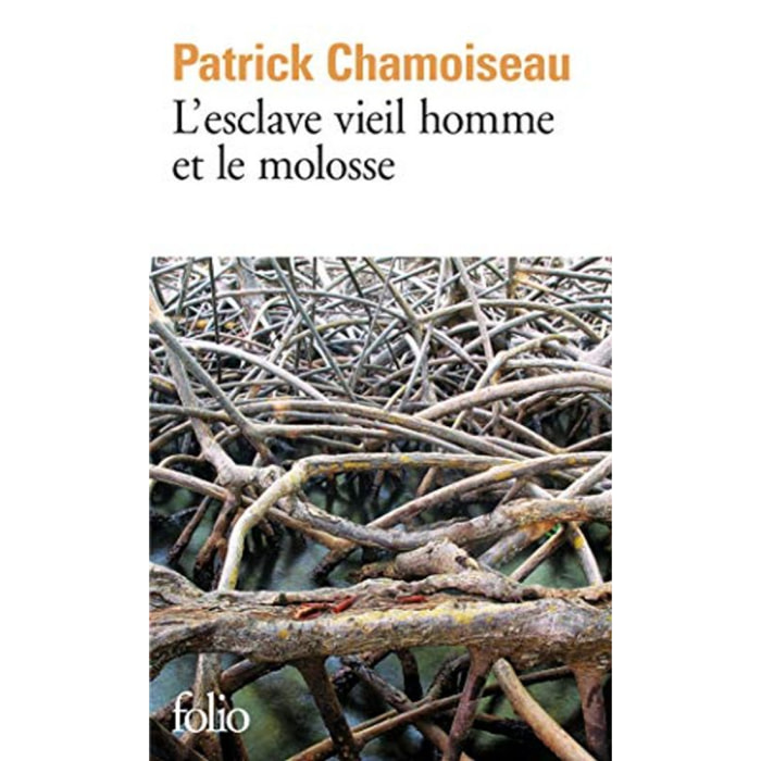 Chamoiseau, Patrick | L'Esclave vieil homme et le molosse | Livre d'occasion