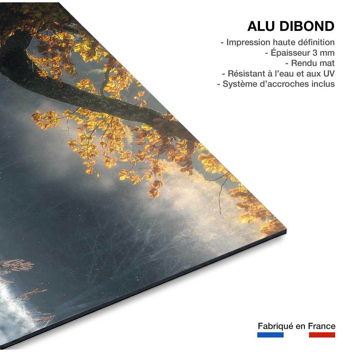 Tableau paysage Souffle d'hiver Tableau alu Dibond