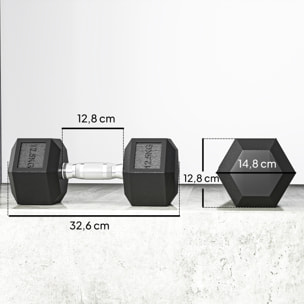 Juego de Mancuernas Hexagonales, 2 x 12,5 kg, de Hierro Fundido, Recubiertas de Goma, Juego de Pesas con Barras de Conexión para Entrenamiento en Casa, Gimnasio y Oficina, Negro y Plata