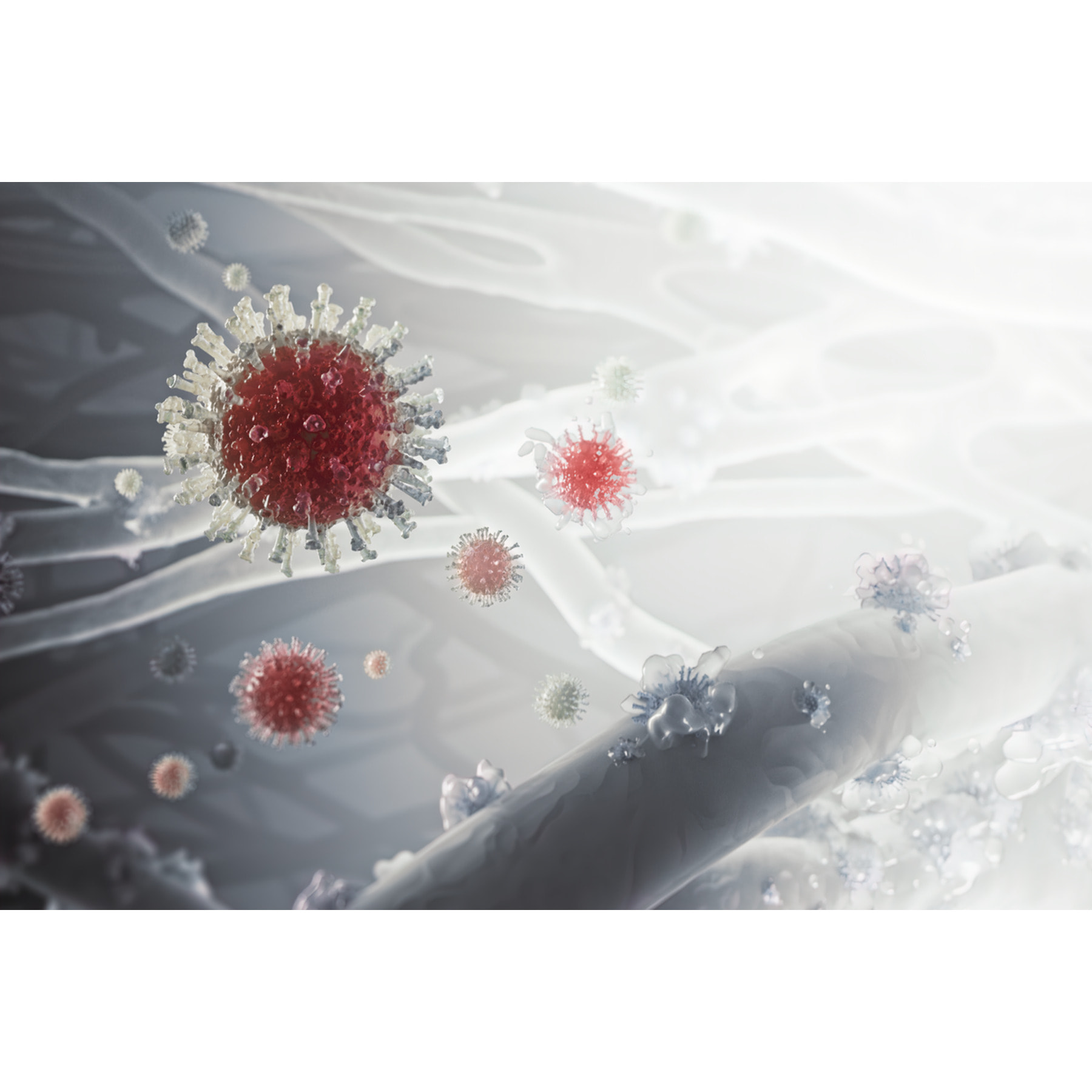 AEG Filtro de protección contra particulas ultrafinas, bacterías y virus para Multi 7000 AFWCLN5