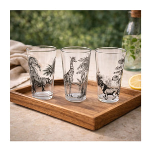 Lot de 6 verres, SAVANA