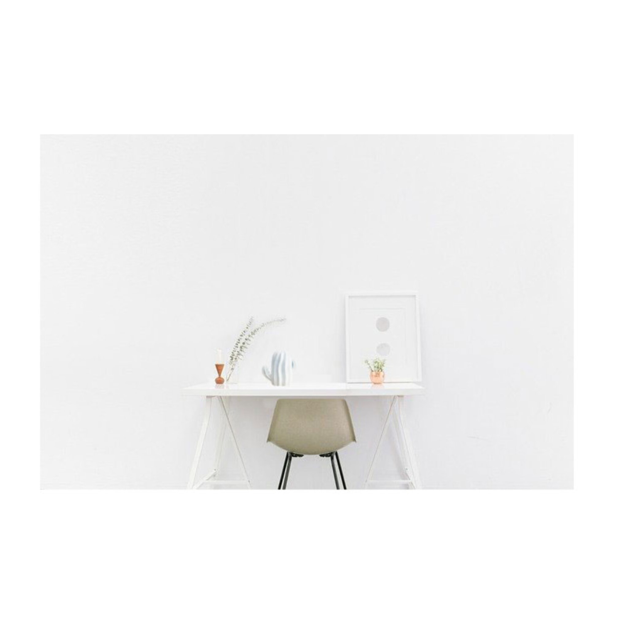 Sculpture cactus blanc décoration H16cm - CACTUS