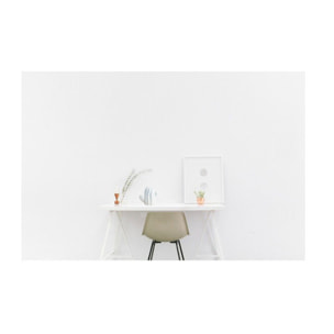 Sculpture cactus blanc décoration H16cm - CACTUS