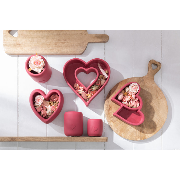 J-Line fleur sechée + pin Fuchsia Rose En Pot - verre - rose