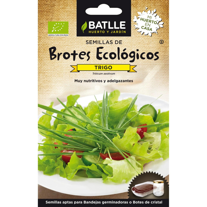 Semillas de Trigo ecológicas para germinados Batlle