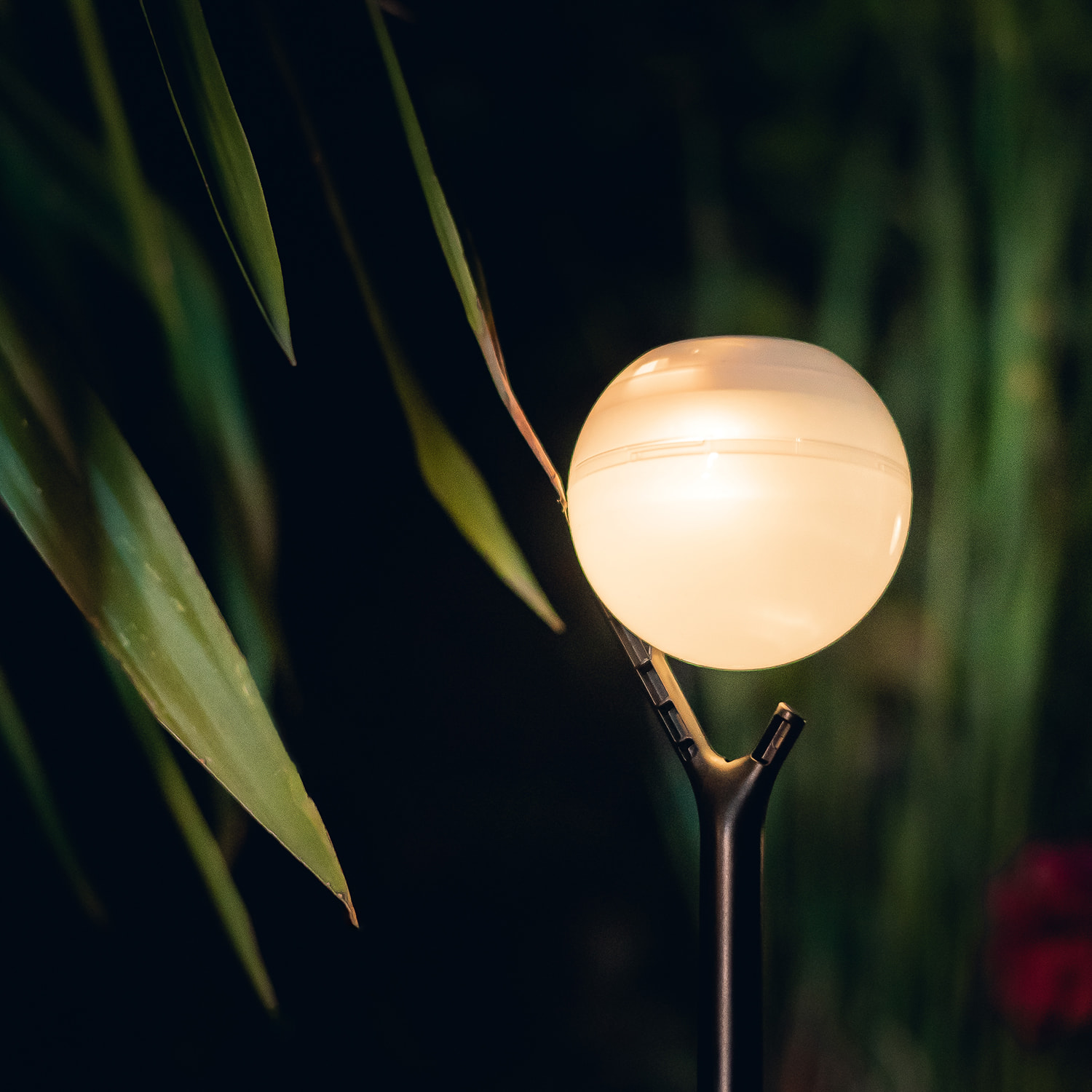 EZIlight® Solar peaky ball - Pack de 4 lampes