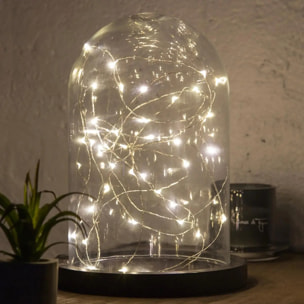Guirlandes "Anya" 40 microLED à pile argent blanc chaud L400cm
