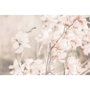 Tableau de fleurs douceur et fleurs printanières  Tableau alu Dibond