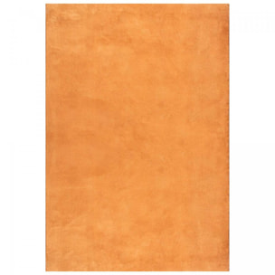 Tapis salon MITA, soft et soyeux, tapis uni à l'aspect Shaggy