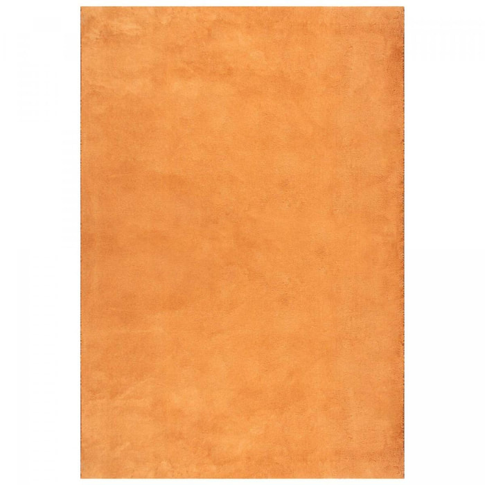 Tapis salon MITA, soft et soyeux, tapis uni à l'aspect Shaggy