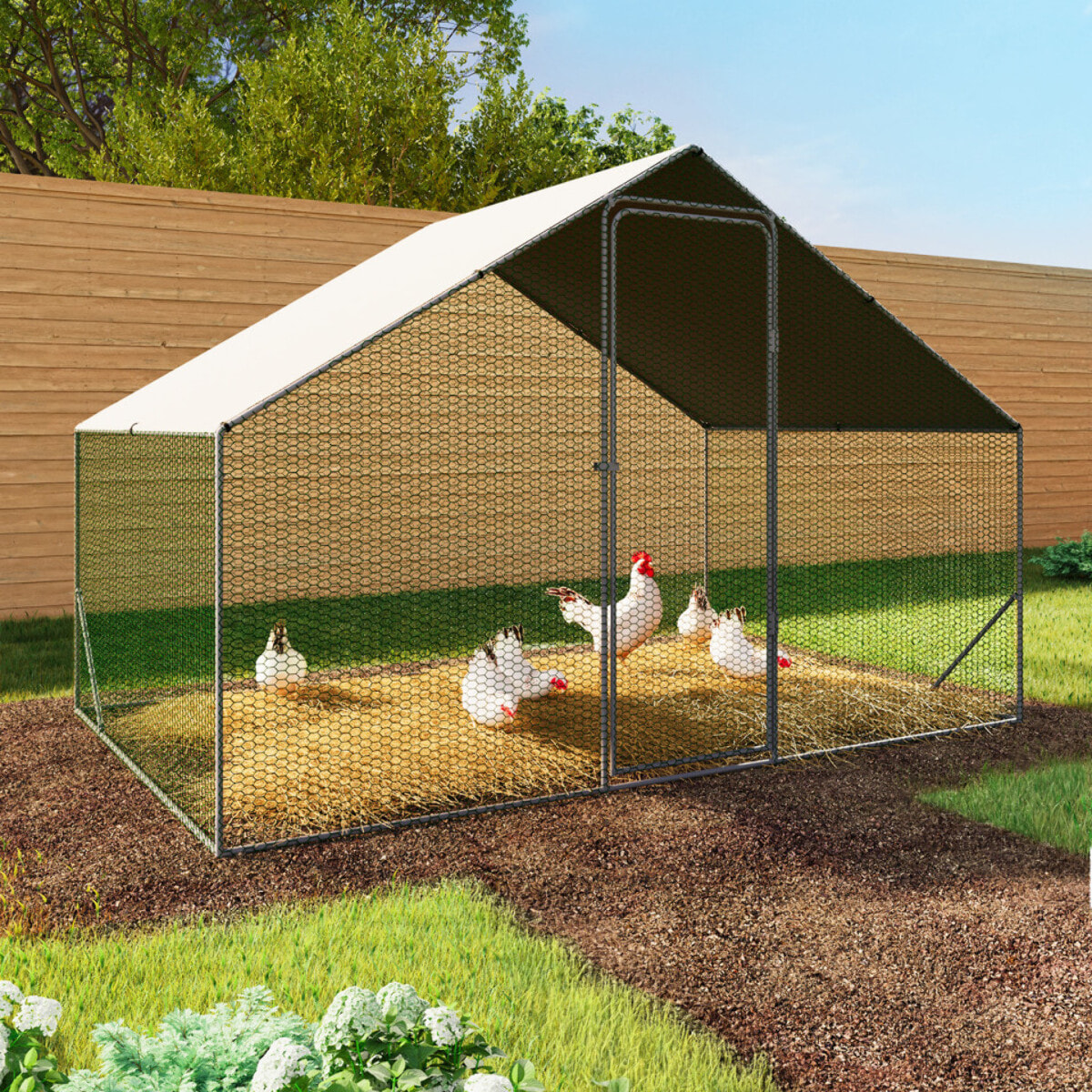 Enclos grillagé pour poules 6m² - 3x2m