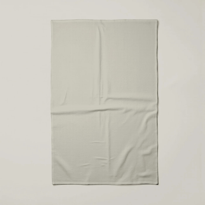 Lot de 2 torchons de cuisine 100% coton Harvard Gris clair