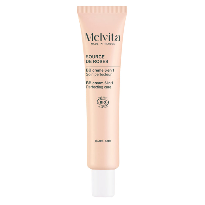 Source de Roses - BB Soin Perfecteur 6en1